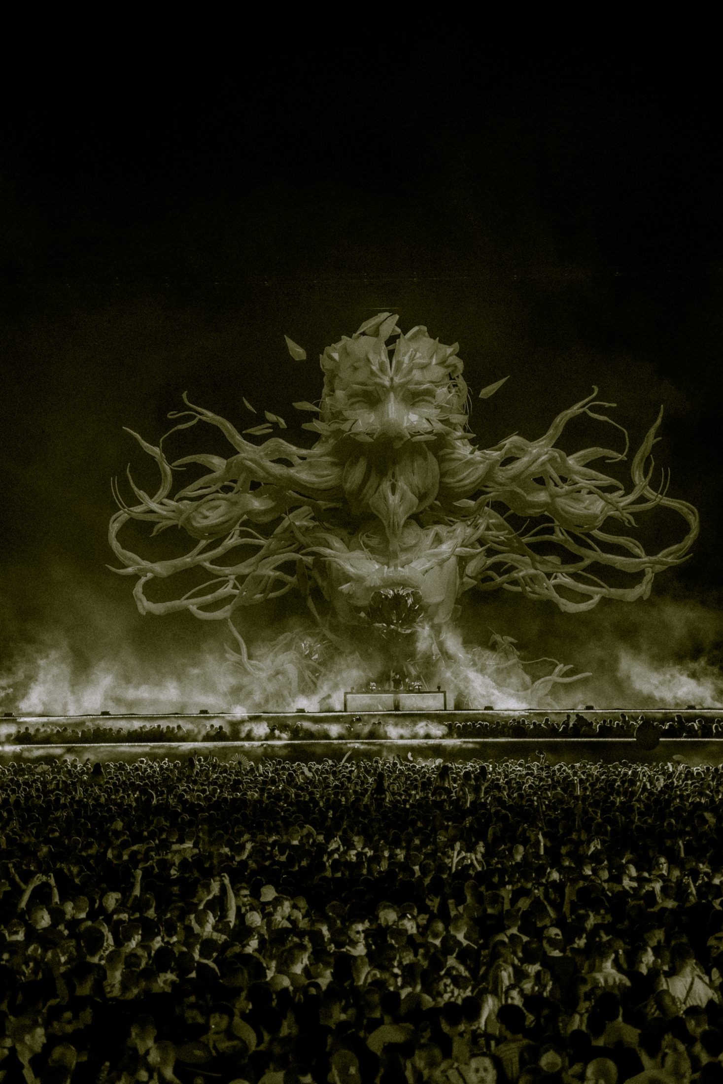 Afterlife Barcelona 2024 - fotografía de Noland Live
